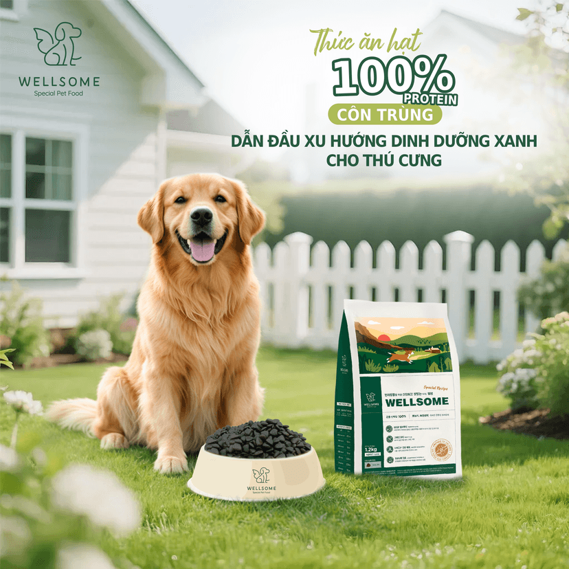Wellsome – Thức Ăn Hạt 100% Protein Côn Trùng Dẫn Đầu Xu Hướng Dinh Dưỡng Xanh Cho Thú Cưng