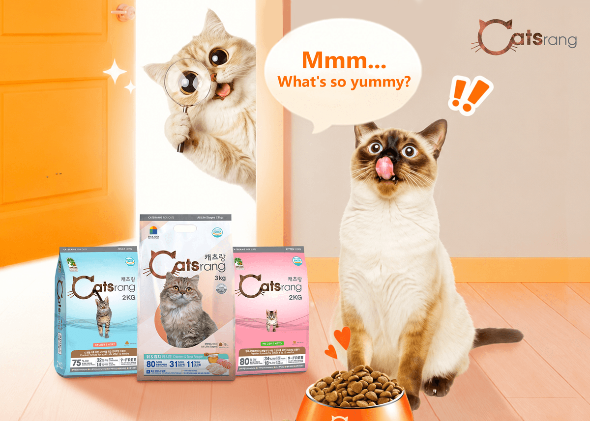 Is Catsrang Cat Food Good? A Complete Review of This Popular Dry Cat Food