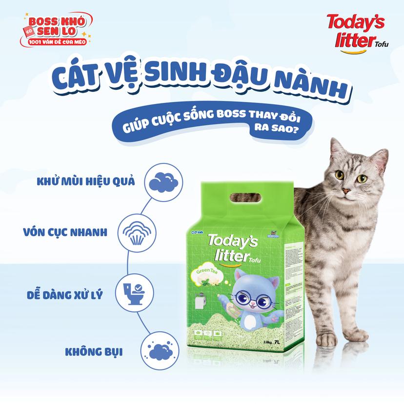 Các loại cát vệ sinh cho mèo giá rẻ, an toàn, khử mùi hiệu quả nhất