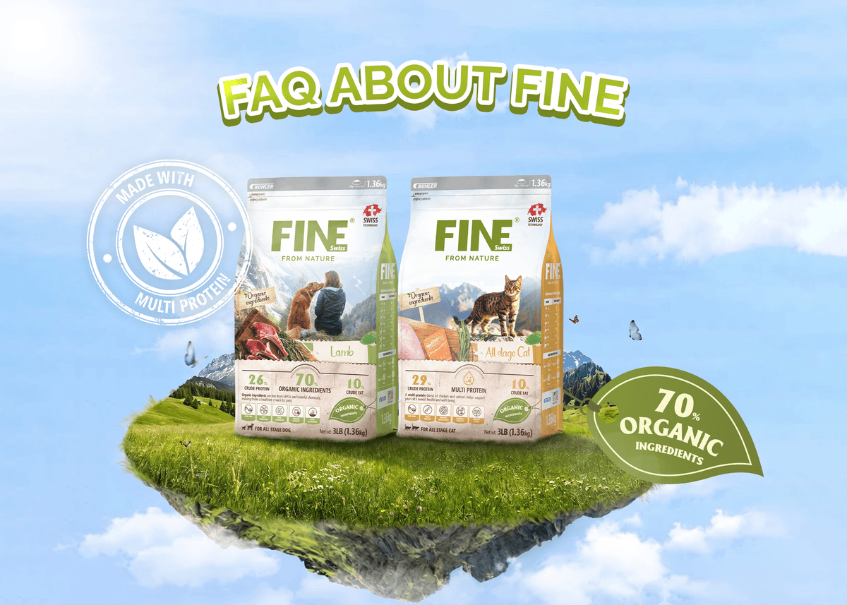 FAQ About FINE Dry Food