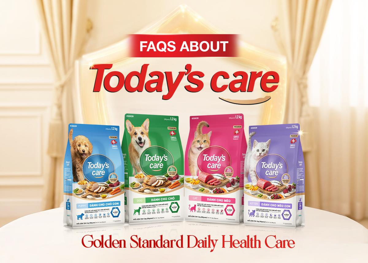Frequently Asked Questions About Today's care Dry Pet Food