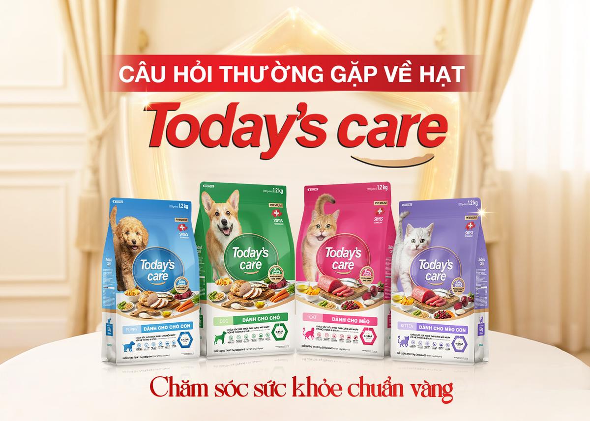 Giải Đáp Thắc Mắc Thường Gặp Về Thức Ăn Hạt Cho Chó Mèo Today's care