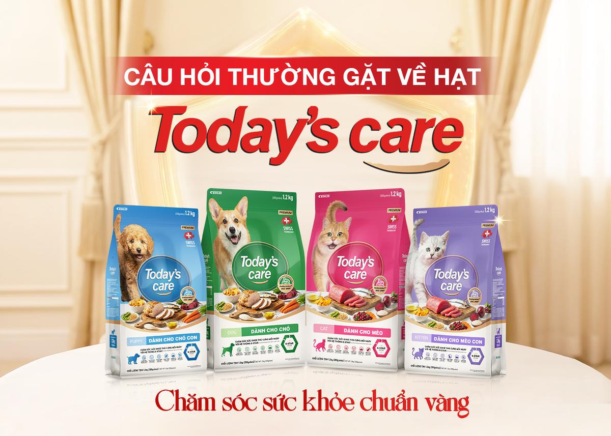 Giải Đáp Thắc Mắc Thường Gặp Về Thức Ăn Hạt Cho Chó Mèo Today's care