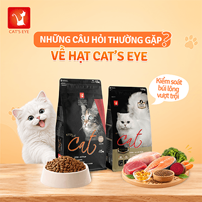 Giải Đáp Câu Hỏi Thường Gặp Về Thức Ăn Hạt Cho Mèo Cat's Eye