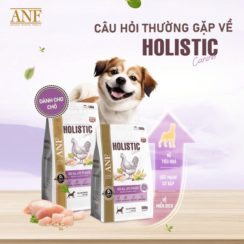 Câu hỏi thường gặp về thức ăn hạt cho chó ANF Holistic