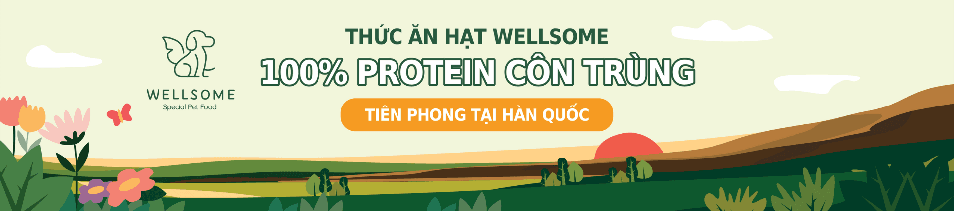 Banner background