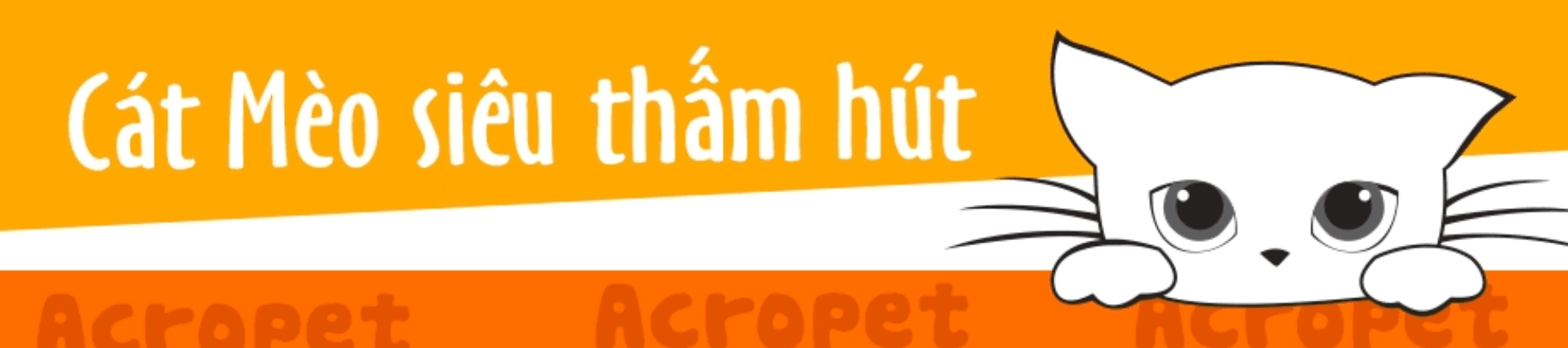 Banner background