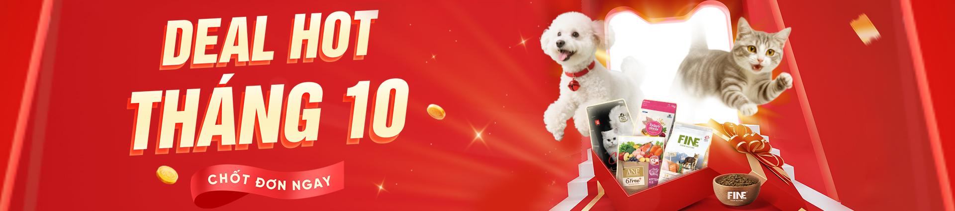Banner background