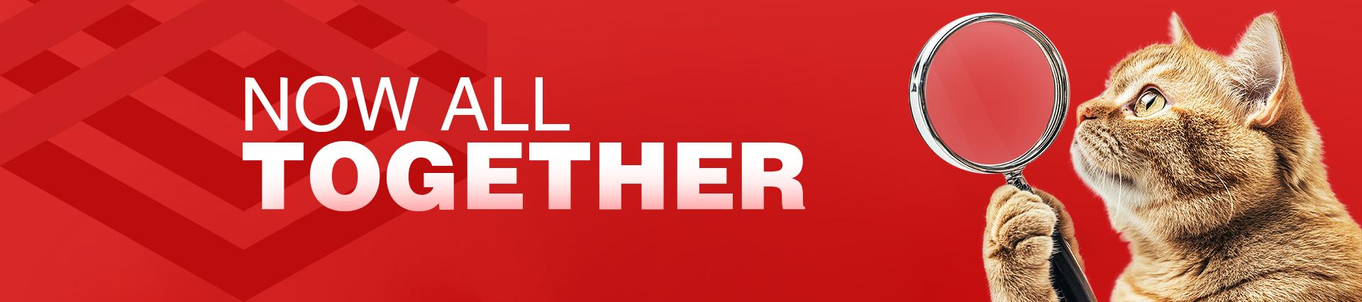 Banner background