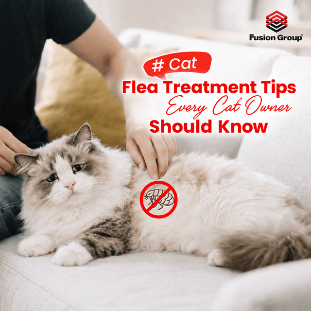 Cat Lice Infestation: How to Identify It and Treat It Effectively