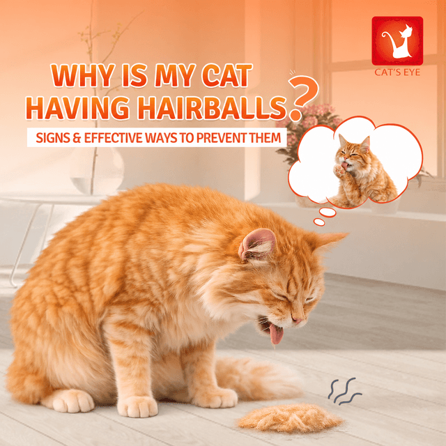 Why Do Cats Get Hairballs? Signs, Causes, and Effective Prevention Tips