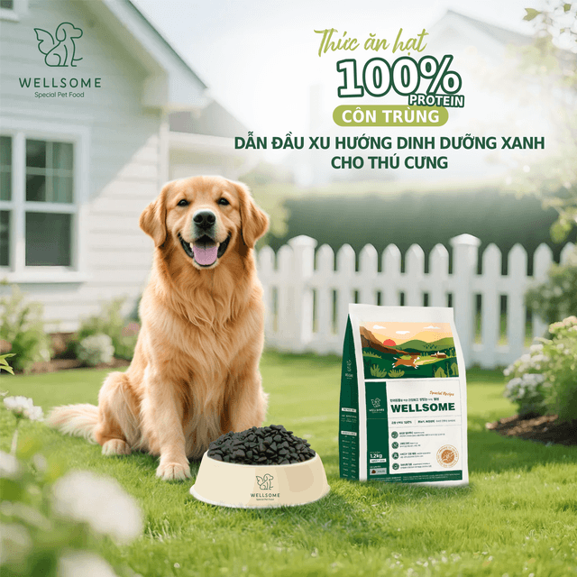Wellsome – Thức Ăn Hạt 100% Protein Côn Trùng Dẫn Đầu Xu Hướng Dinh Dưỡng Xanh Cho Thú Cưng