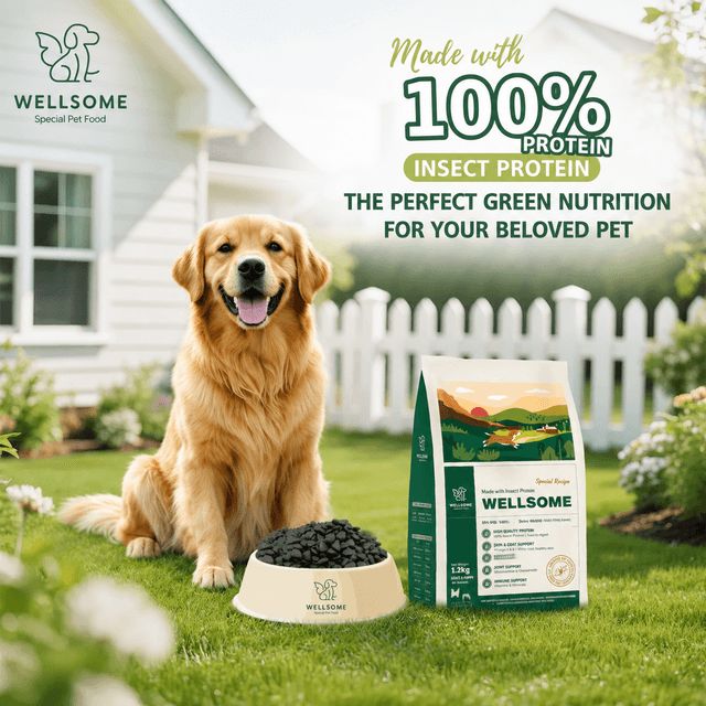 Wellsome – 100% Insect Protein Pet Food Leading the Green Nutrition Trend for Pets