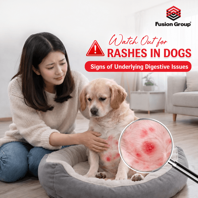 Red Rash on a Dog’s Belly: Signs of Potential Health Problems