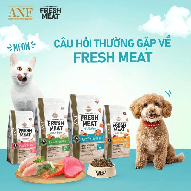 Câu hỏi thường gặp về thức ăn hạt ANF Fresh Meat