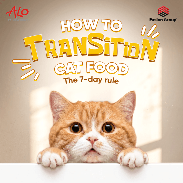 How To Transition Cat Food: A 7–Day Schedule to Prevent Digestive Upset