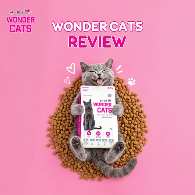 Wonder Cats - Review: Thức Ăn Hạt Cho Mèo Wonder Cats Có Tốt Không?