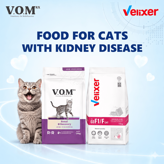 Food for Cats with Kidney Disease