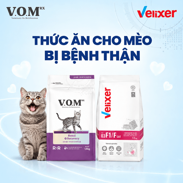 Thức Ăn Cho Mèo Bị Bệnh Thận