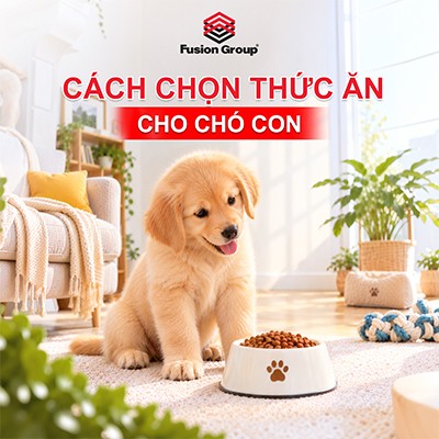 Cách Chọn Thức Ăn Cho Chó Con: 5 Điều Cần Kiểm Tra Trước Khi Mua