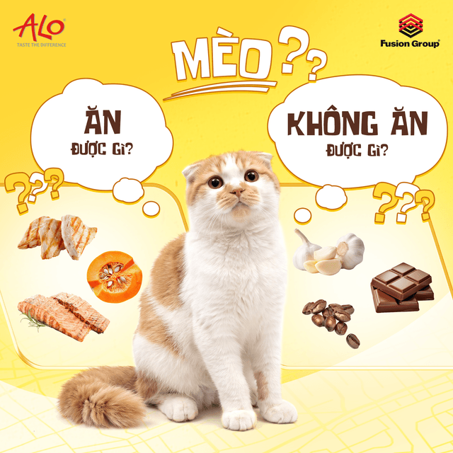 Mèo Ăn Được Gì, Không Ăn Được Gì? Danh Sách Sen Cần Nhớ