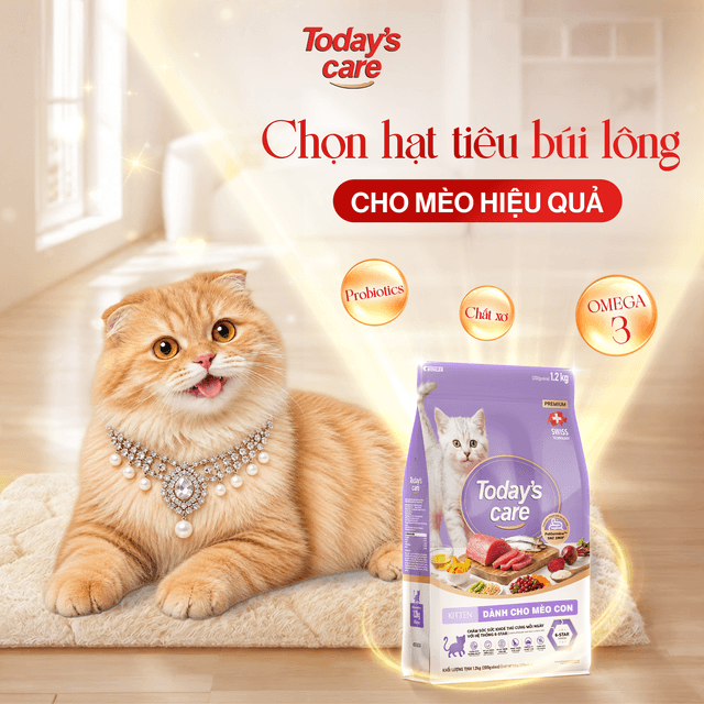 Hạt Cho Mèo Tiêu Búi Lông Và Cách Loại Bỏ Búi Lông Hiệu Quả