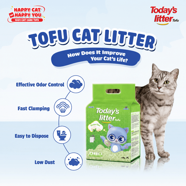 Affordable Cat Litter: Safe, Effective Odor Control, and Budget-Friendly Options
