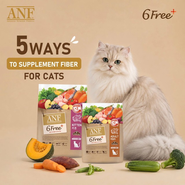 5 Ways to Add Fiber for a Healthy and Happy Cat