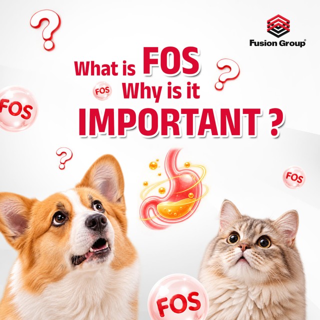 What Is FOS? Why Is It Important for Dogs and Cats’ Digestive Health?