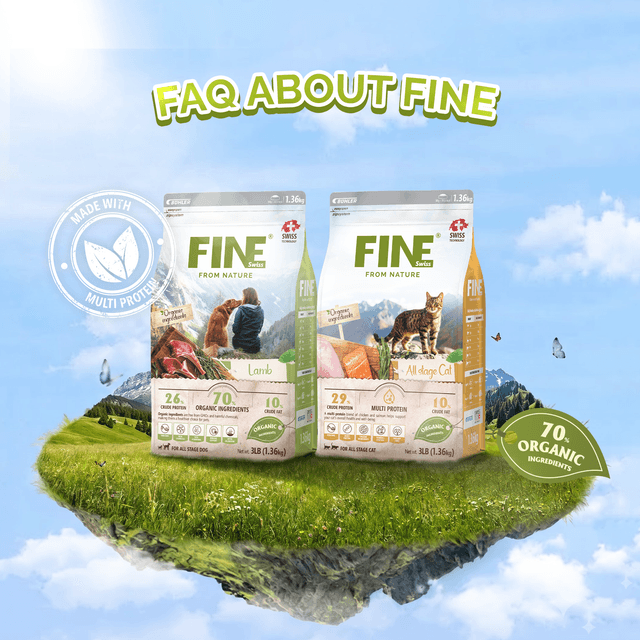 FAQ About FINE Dry Food