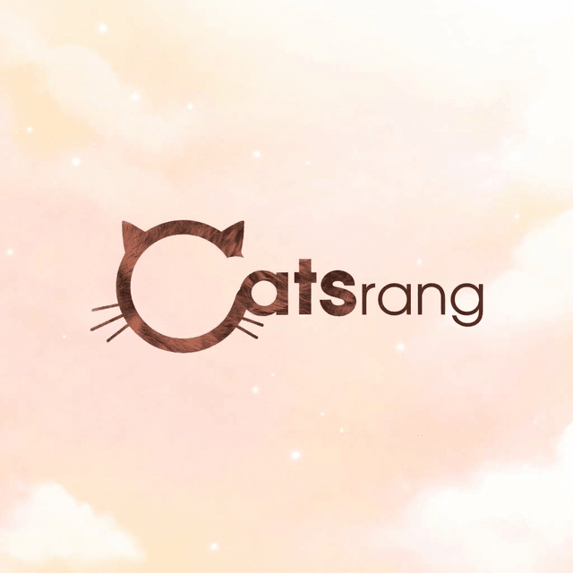 FAQ About Catsrang Dry Food