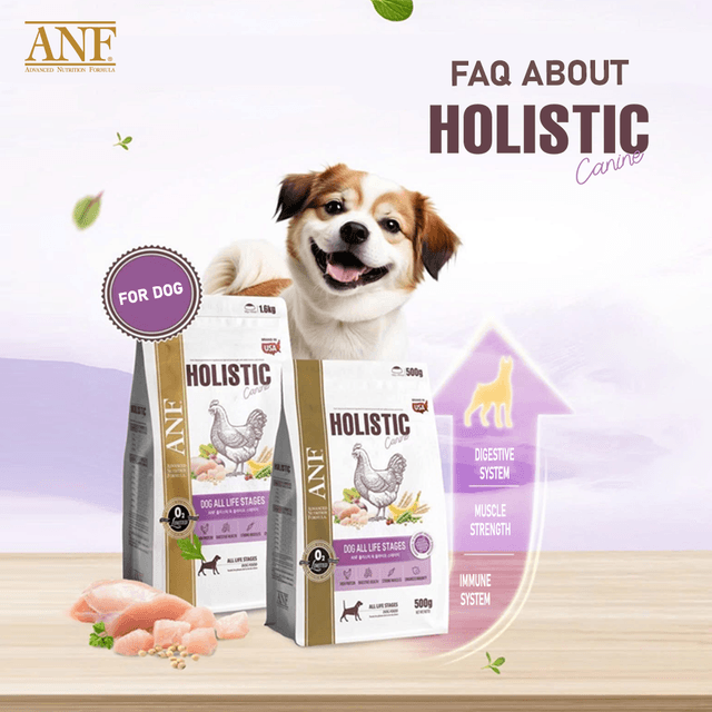 FREQUENTLY ASKED QUESTIONS ABOUT ANF HOLISTIC DOG FOOD