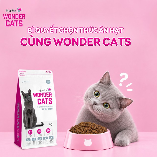 Dinh dưỡng cho mèo: Bí quyết chọn thức ăn hạt đầy đủ dưỡng chất cùng Wonder Cats