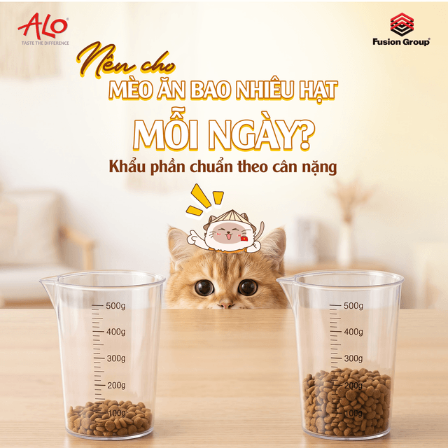 Nên Cho Mèo Ăn Bao Nhiêu Hạt Mỗi Ngày? Bảng Định Lượng Chuẩn Theo Cân Nặng