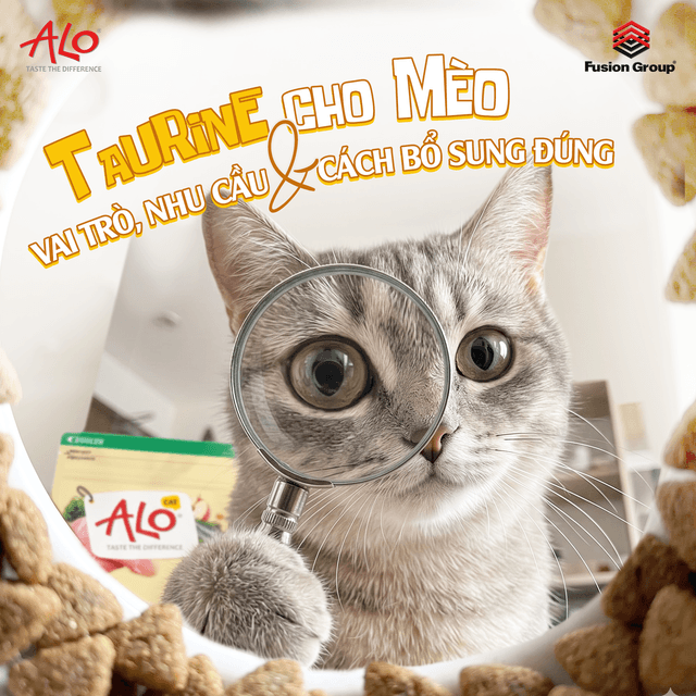Taurine Cho Mèo: Vai Trò, Nhu Cầu & Cách Bổ Sung Đúng