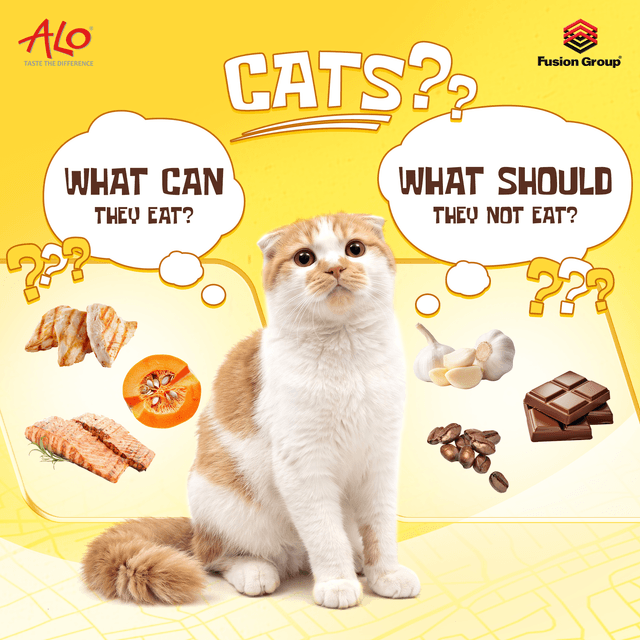 What Can and Can’t Cats Eat? A Must-Know List for Cat Owners