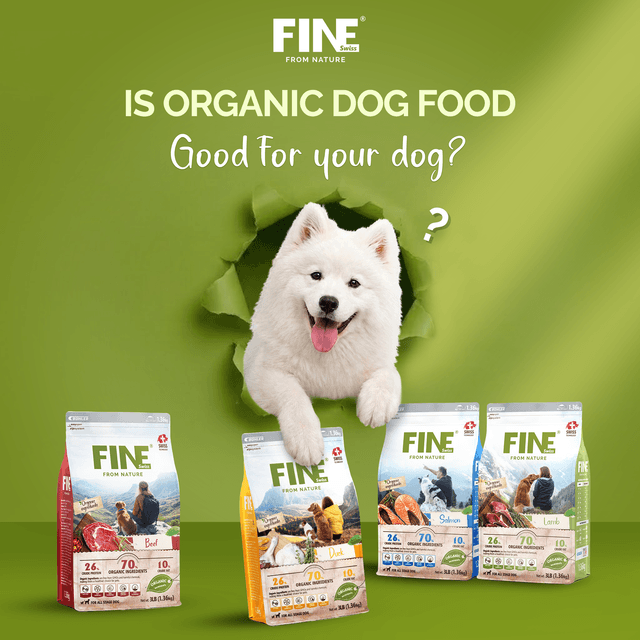 Is Organic Dog Food Good for Dogs? What You Need to Know