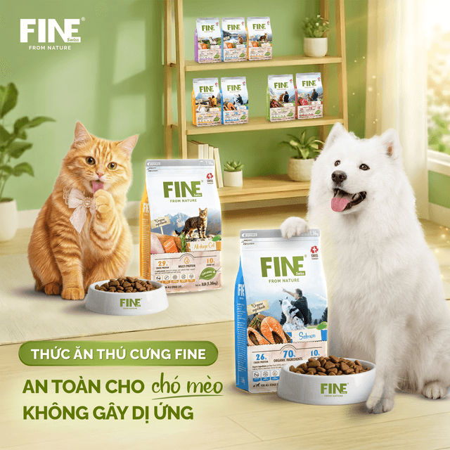 Thức Ăn Thú Cưng FINE An Toàn Cho Chó Mèo, Không Gây Dị Ứng