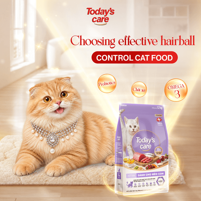 Hairball Control Cat Food and How to Reduce Hairballs Effectively