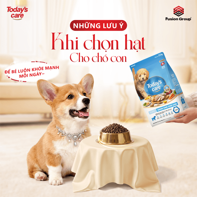 Thức Ăn Cho Chó Con: 7 Lưu Ý Quan Trọng Khi Chọn Hạt Cho Cún