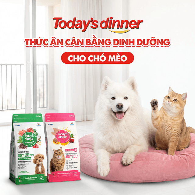 Today's dinner: Thức Ăn Hạt Cân Bằng Dinh Dưỡng Cho Chó Mèo