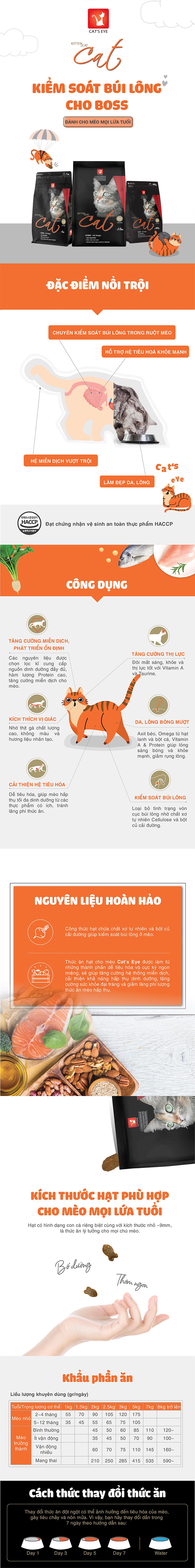 TỜ WEB CATS EYE_THƯỜNG_1765514242.jpg