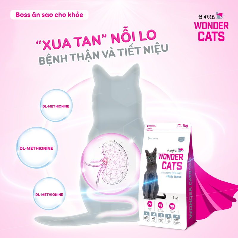 cong-dung-thuc-an-hat-quoc-dan-wonder-cats-1721298154.jpg