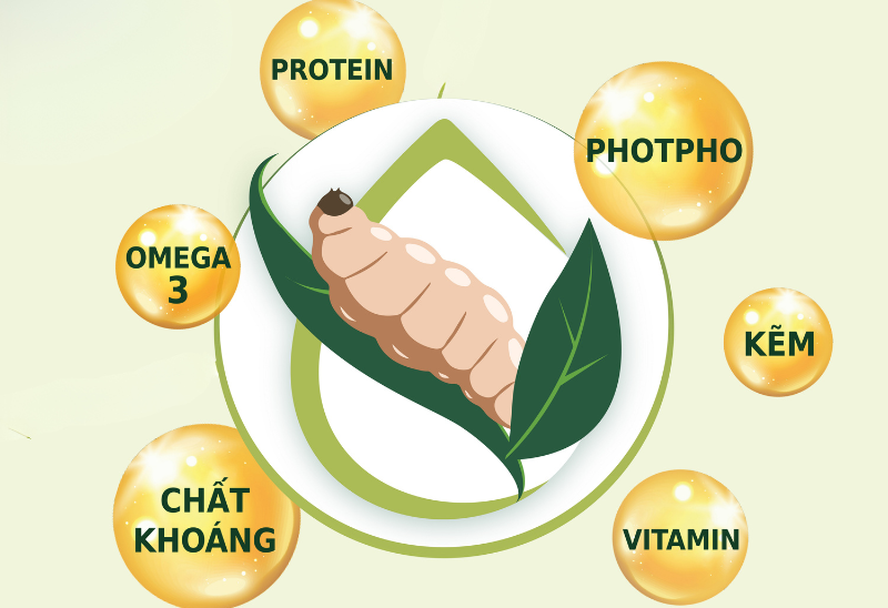 fusiongroupvn-protein-con-trung-thuc-an-hoan-hao-cho-thu-cung-2-1712044793-1722246460.png