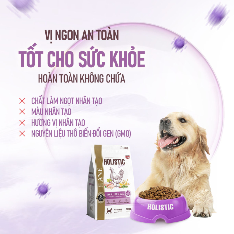 fusiongroupvn-ra-mat-anf-holistic-thuc-an-dinh-duong-chuan-au-danh-cho-cho-moi-lua-tuoi-4-1725016546.jpg