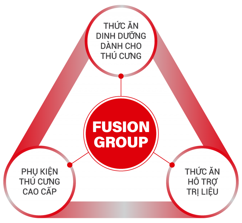 fusiongroupvn-thong-tin-cong-ty-ve-fusion-group-03-1702957612.png