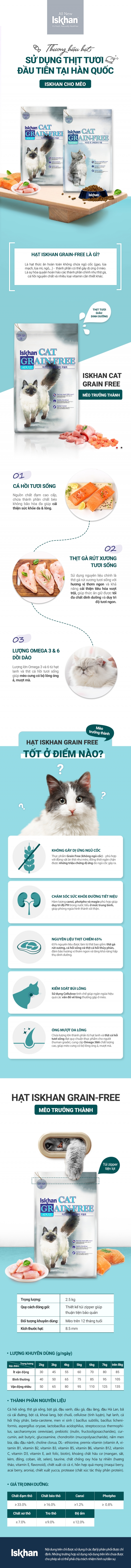 iskhan-cat-adult-redesign-1709524353.jpg