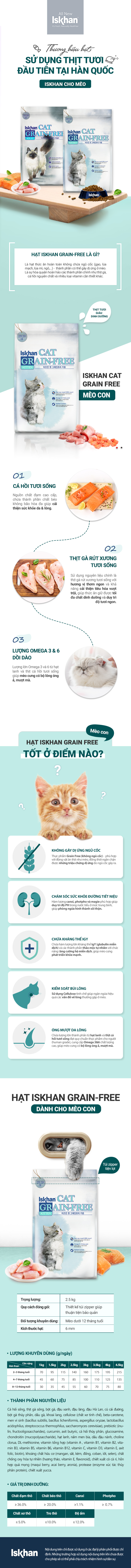 iskhan-cat-kitten-redesign-1720507582.jpg