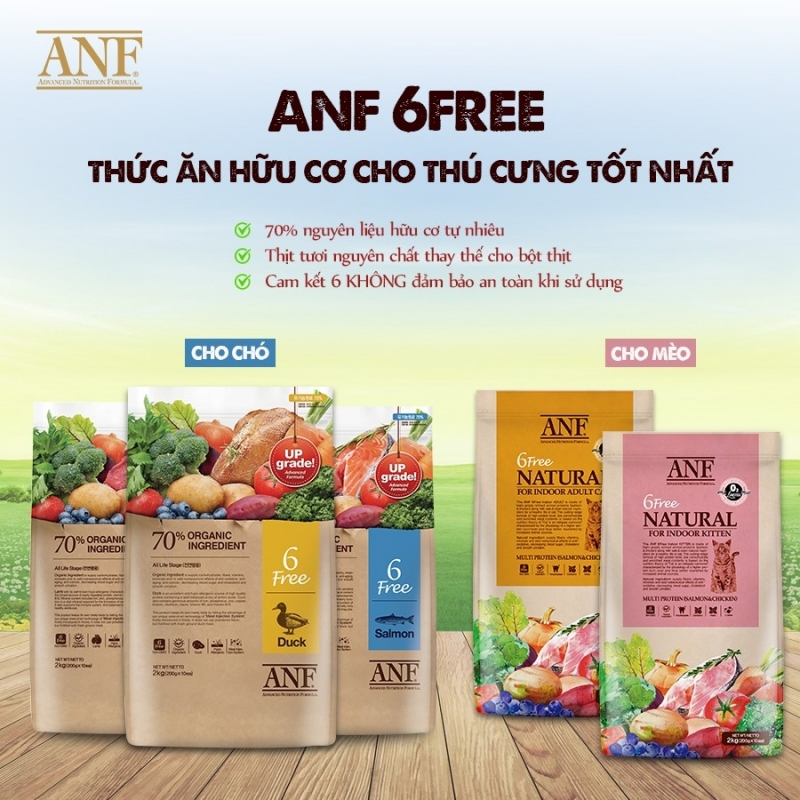 thuc-an-huu-co-6free-1640854151-1721028470.jpg