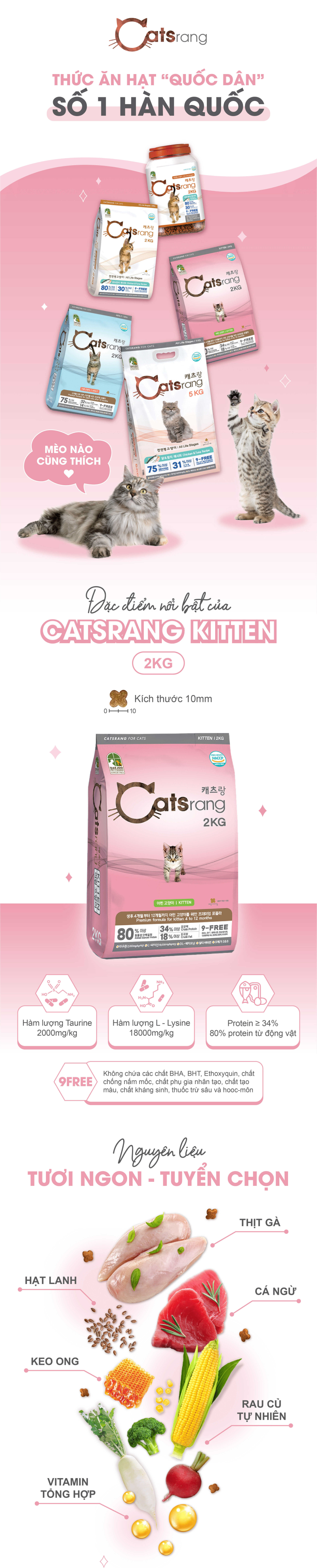 to-web-catsrang-kitten-2kg-1-1720428756.jpg